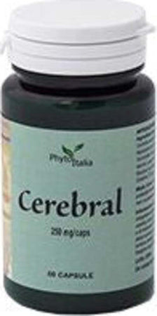 CEREBRAL-AYURVED-60-CAPSULE