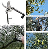 Cesoia-Forbici-Potatura-Giardino-Giardinaggio-Professionale-Lama-200-Mm