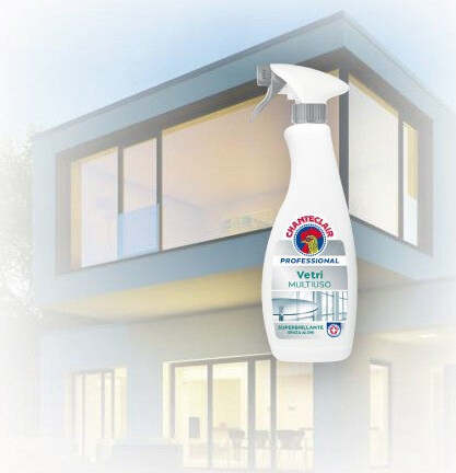 Chanteclair-Detergente-Vetri-e-Multiuso-Professional---spray-da-700-ml---608920IT