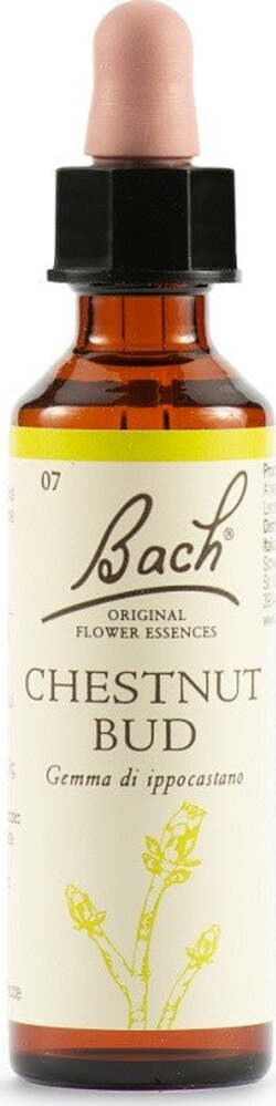 CHESTNUT-BUD-FIORI-DI-BACH-ORIGINAL-20-ml-Schwabe-Pharma-Italia