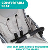 Chicco Grey Mist Goody Plus Passeggino Grigio Leggero Chiusura Compatta Fino a 22kg Passeggino Omologato Dalla Nascita Prima infanzia/Passeggini carrozzine e accessori/Passeggini e carrozzine/Passeggini leggeri Sanitaria Gioia del Bimbo - Villa San Giovanni, Commerciovirtuoso.it