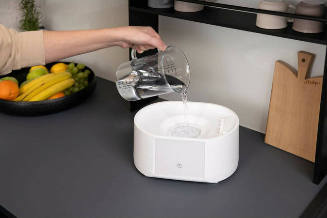 Chicco Sterilizzatore Con Funzione Asciugatura, Sterilizzatore Biberon, Tiralatte E Ciuccio, Con 2 Configurazioni, Funzione Asciugatura, Fino A 6 Biberon Da 330 Ml, Bianco Prima infanzia/Allattamento e pappa/Allattamento con biberon/Sterilizzatori Sanitaria Gioia del Bimbo - Villa San Giovanni, Commerciovirtuoso.it