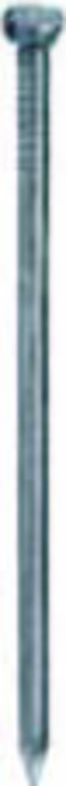 CHIODI-TESTA-BOMBATA-INOX-3,0X65-GR-150