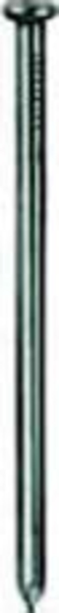 CHIODI-TESTA-GROPPINO-IN-INOX-2,1X40-GR-100