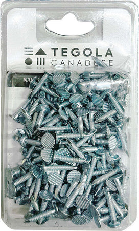 Chiodi-zincati-per-tegola-canadese-3,0x20---Confezione-da-200-pezzi