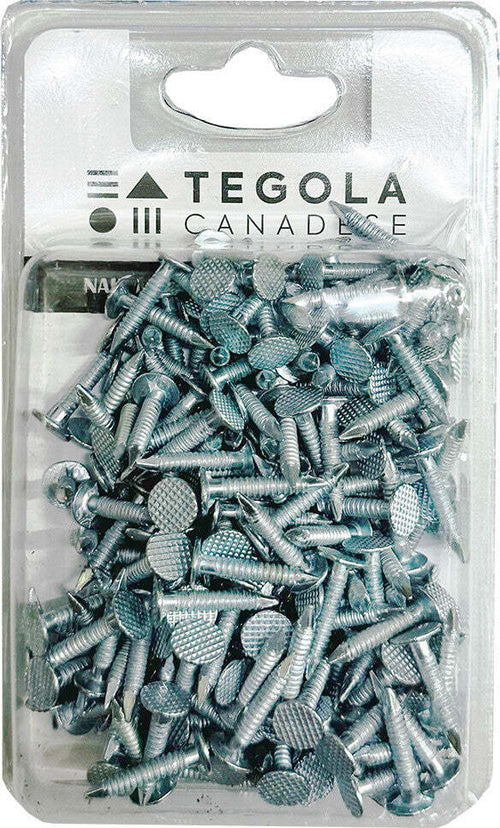 Chiodi-zincati-per-tegola-canadese-3,0x20---Confezione-da-200-pezzi