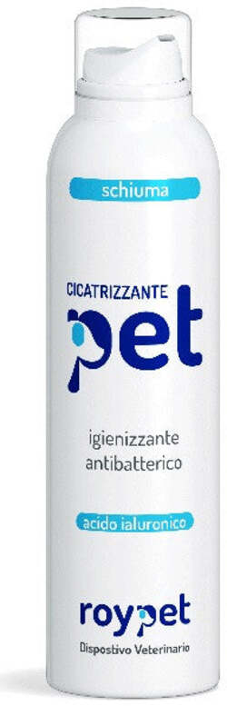Product Image-0