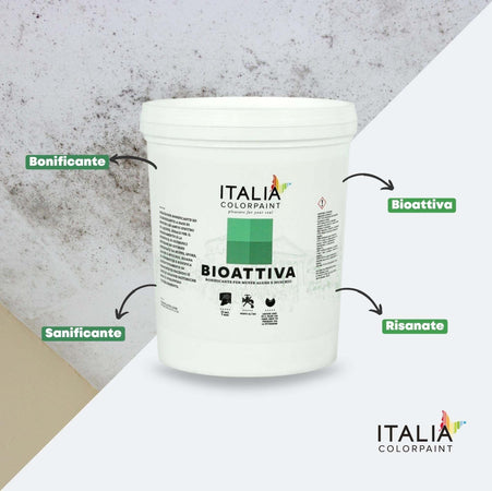 Ciclo Trattamento Muri Antimuffa Isoltherm Fissativo Bioattiva Paintherm Casa e cucina/Detergenti e prodotti per la pulizia/Detergenti per la casa/Prodotti antimuffa Ogomondo - Martina Franca, Commerciovirtuoso.it