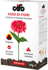Cifo Concime in Polvere Solubile Asso Di Fiori 1 Kg Ideale per Piante Del Balcone, Giardino E Orto Giardino e giardinaggio/Giardinaggio/Fertilizzanti e concimi/Fertilizzanti multiuso Maxbest Plants - Messina, Commerciovirtuoso.it