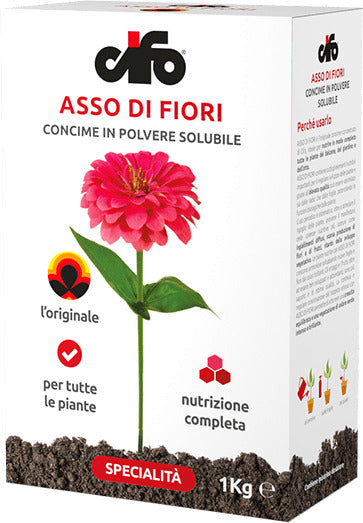 Cifo Concime in Polvere Solubile Asso Di Fiori 1 Kg Ideale per Piante Del Balcone, Giardino E Orto Giardino e giardinaggio/Giardinaggio/Fertilizzanti e concimi/Fertilizzanti multiuso Maxbest Plants - Messina, Commerciovirtuoso.it