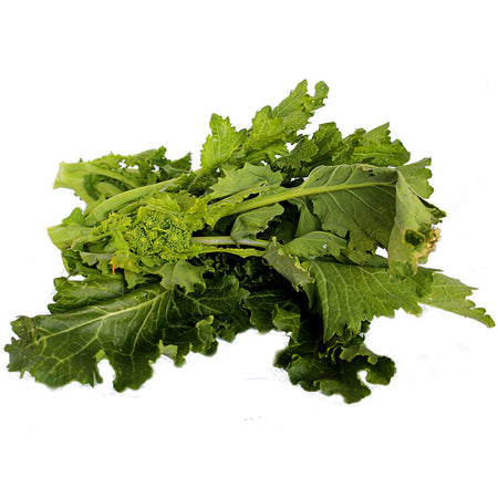 Semi di cima di Rapa "Leccese sessantina cima grossa" piante per orto e giardino