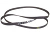 Cinghia Ariston 1242j5-1236 J4 Lavatrice C00315247