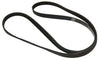 Cinghia Bauknecht 1248/1250 J5 Lavatrice 481935818152