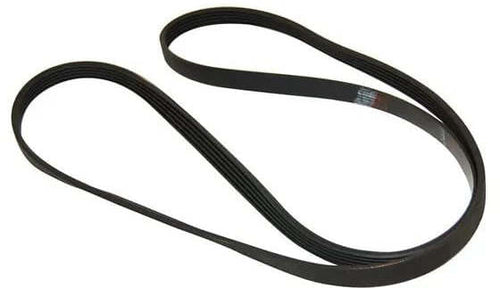 Cinghia Bauknecht 1248/1250 J5 Lavatrice 481935818152