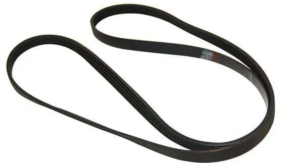 Cinghia Bauknecht 1248/1250 J5 Lavatrice 481935818152