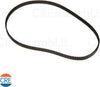 Cinghia-Dentata-per-133-Pane-Express-1000