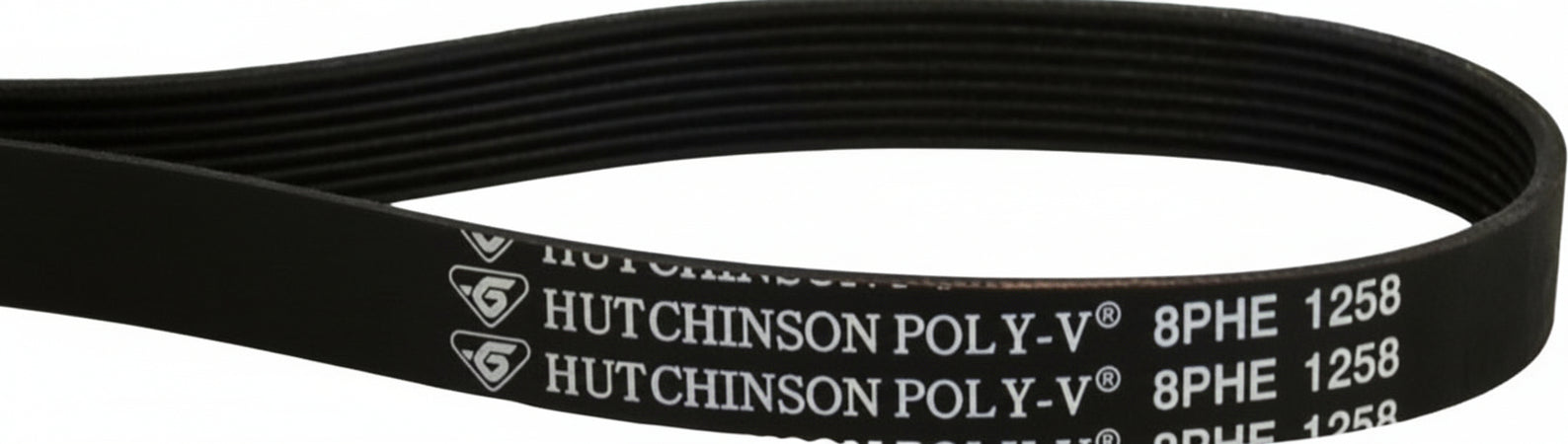 Cinghia-lavatrice-varie-marche-poly-v-1258-8PHE-12638100000245