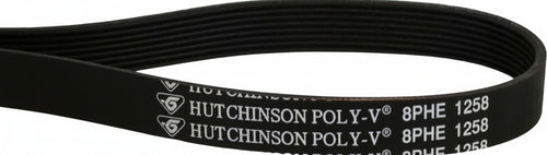 Cinghia-lavatrice-varie-marche-poly-v-1258-8PHE-12638100000245