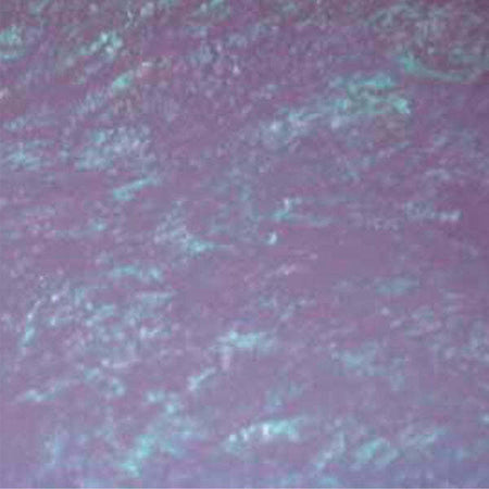 CINGHIALE---FRATTAZZO-IN-PLASTICA-A-PUNTA