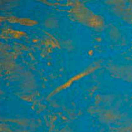 CINGHIALE---FRATTONE-IN-PLASTICA-MANICO-ABS-CM-28x13