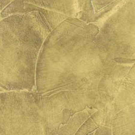 CINGHIALE---SPATOLA-IN-PLASTICA-MULTIANGOLI