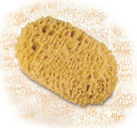 CINGHIALE---SPUGNONE-PER-EFFETTO-SPUGNATO-CM-16x10