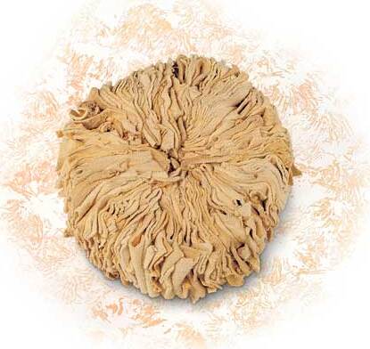 CINGHIALE---TAMPONE-A-FIORE-PER-EFFETTO-SPATOLATO