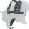 Cinturine-Cybex-Gold-Lemo---Light-Grey