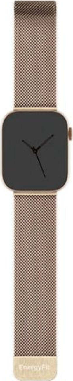 Cinturino-orologio-Energyfit-MILANESE-SQ10-SQ20-24mm-Gold
