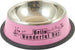 Ciotola cani gatti colorata antiscivolo acciaio colori misti 18cm Prodotti per animali domestici/Cani/Ciotole e distributori/Ciotole Led Mall Home - Napoli, Commerciovirtuoso.it