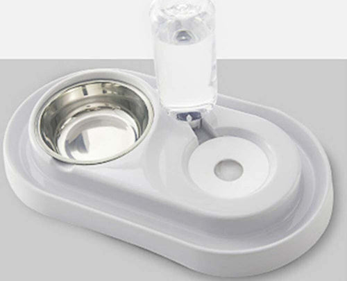 Ciotola In Plastica Per Gatti Cani Piccoli Animali Domestici Per Alimenti Acqua Prodotti per animali > Prodotti per Cani > Ciotole e Biberon Trade Shop italia - Napoli, Commerciovirtuoso.it
