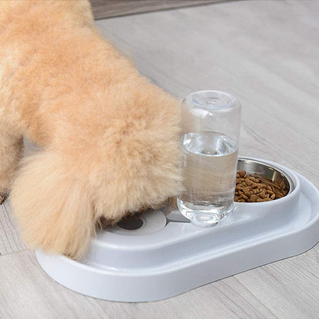 Ciotola In Plastica Per Gatti Cani Piccoli Animali Domestici Per Alimenti Acqua Prodotti per animali > Prodotti per Cani > Ciotole e Biberon Trade Shop italia - Napoli, Commerciovirtuoso.it
