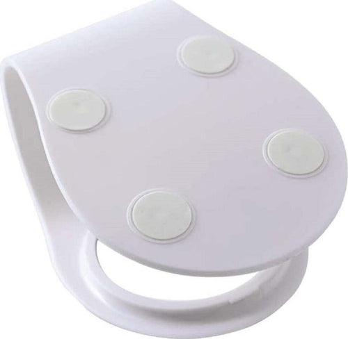 Ciotola Singola Forma Gatto Inclinabile Regolabile Per Gatti Cani Alimenti Acqua Prodotti per animali > Prodotti per Cani > Ciotole e Biberon Trade Shop italia - Napoli, Commerciovirtuoso.it