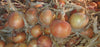 Cipolla Dorata Made in Italy Cipolla Dorata Altopiano Del Fucino Cipolla Coltivata in Abruzzo Da Conservare Al Fresco