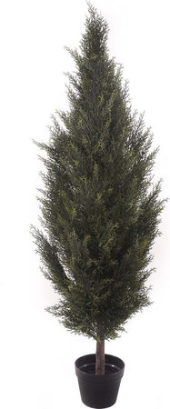 Cipresso C/vaso 167 Cm Bianchi Dino Giardino e giardinaggio/Piante semi e bulbi/Piante da interno/Alberi Loft Uno di Casa - Catania, Commerciovirtuoso.it