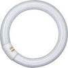 Circolina neon Osram CIRCOLINA L22 840 G10q 22 W Cool white 4000 K Illuminazione/Lampadine/Lampadine a incandescenza Scontolo.net - Potenza, Commerciovirtuoso.it
