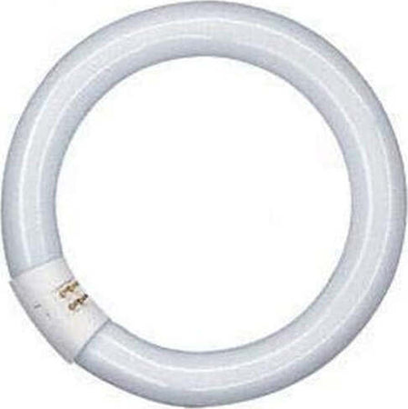 Circolina neon Osram CIRCOLINA L22 840 G10q 22 W Cool white 4000 K Illuminazione/Lampadine/Lampadine a incandescenza Scontolo.net - Potenza, Commerciovirtuoso.it
