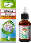 CITOYANG®-ENERGY-integratore-alimentare-Gocce-50-ml-Renaco