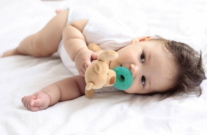 Ciuccio Minikoioi Sleep Buddy Orso Marrone Prima infanzia/Succhietti e massaggiagengive/Succhietti La Casa Del Bebè - Napoli, Commerciovirtuoso.it