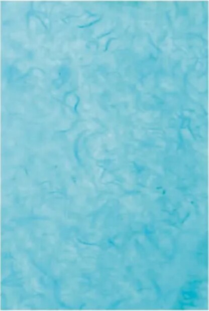 CLAIREFONTAINE---CARTA-DI-RISO---1-FOGLIO-65X95CM---COLORE-TIFFANY