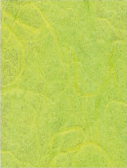 CLAIREFONTAINE---CARTA-DI-RISO---1-FOGLIO-65X95CM---COLORE-VERDE-MELA