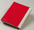 Classificatore numerico 1-31 - 643D - 24x34 cm - rosso - Fraschini Cancelleria e prodotti per ufficio/Archivio ufficio e accessori per scrivania/Raccoglitori e accessori per raccoglitori/Raccoglitori/Raccoglitori a leva per documenti Eurocartuccia - Pavullo, Commerciovirtuoso.it