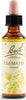 CLEMATIS-FIORI-DI-BACH-ORIGINAL-20-ml-Schwabe-Pharma-Italia
