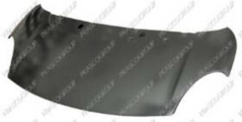 Cofano anteriore fiat 500l 2012