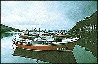 Cokin WP1R121S Filtro per lenti della macchina fotografica 8,4 cm