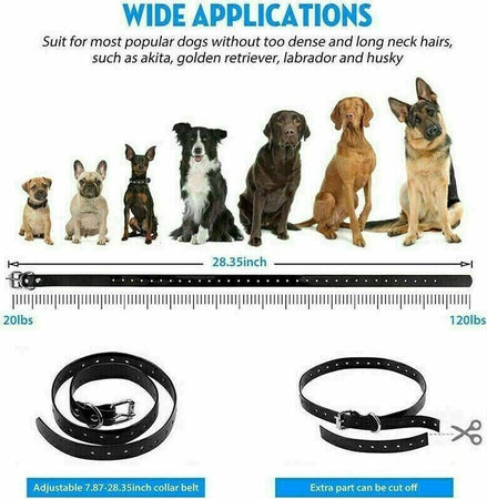 COLLARE-800M-IMPERMEABILE-TELECOMANDO-CANI-SCOSSA-ELETTRICO-ADDESTRAMENTO-LCD