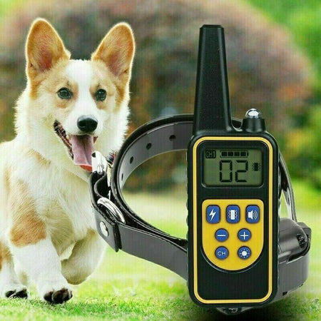 COLLARE-800M-IMPERMEABILE-TELECOMANDO-CANI-SCOSSA-ELETTRICO-ADDESTRAMENTO-LCD