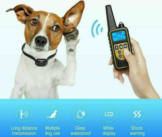 COLLARE-800M-IMPERMEABILE-TELECOMANDO-CANI-SCOSSA-ELETTRICO-ADDESTRAMENTO-LCD