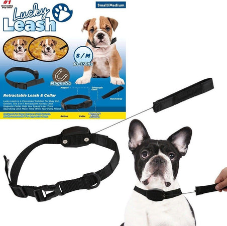 COLLARE GUINZAGLIO RETRAIBILE 2 IN 1 PER CANE CANI TAGLIA S/M CON MAGNETE Prodotti per animali domestici/Cani/Collari imbracature e guinzagli/Guinzagli/Guinzagli retrattili Trade Shop italia - Napoli, Commerciovirtuoso.it