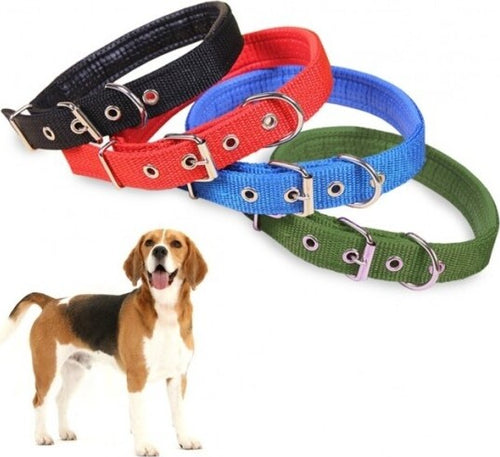 Collare-In-Nylon-C/-Imbottitura-Per-Cani-Di-Tg.-Media-Chiusura-Fibbia-Regolabile
